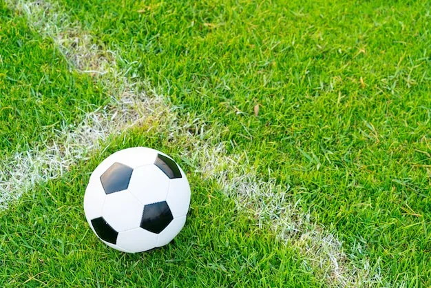 俄超直播体育 体育盛况